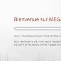 mega